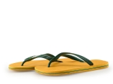 Havaianas Slippers