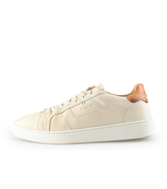 Greve Sneakers