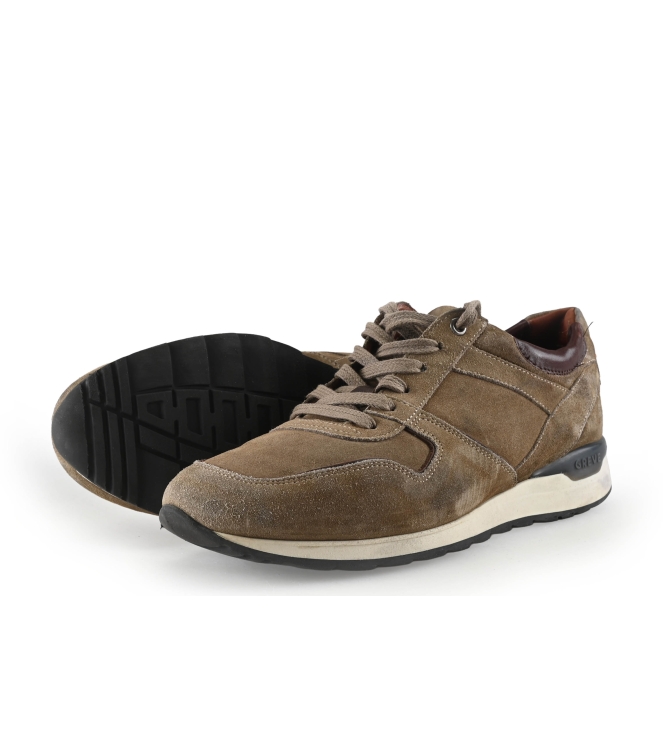 Greve Sneakers