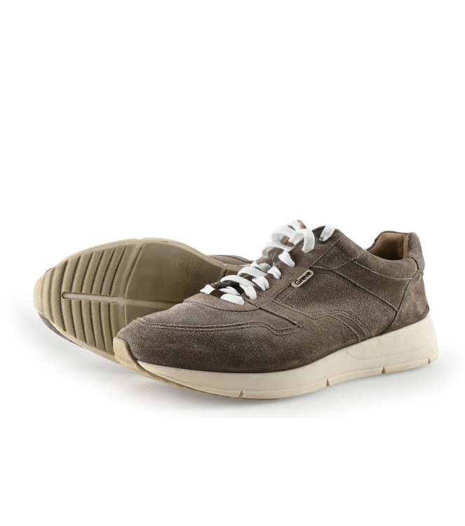 Greve Sneakers