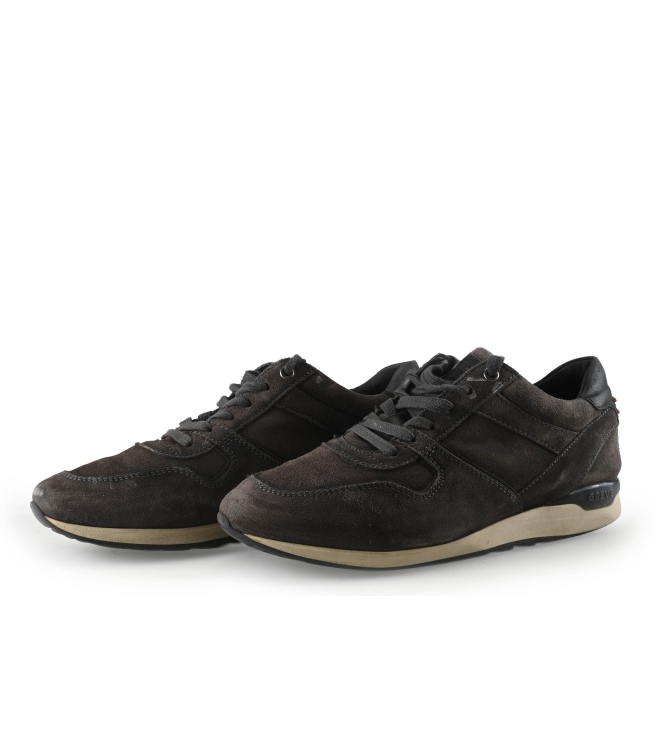 Greve Sneakers