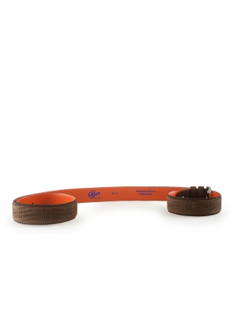 Greve Riem Bruin 339578
 Maat 115 cm
 