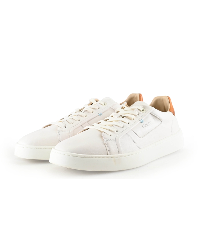 Greve Sneakers