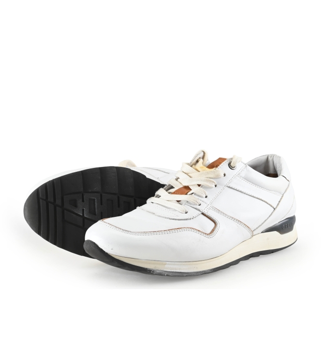 Greve Sneakers