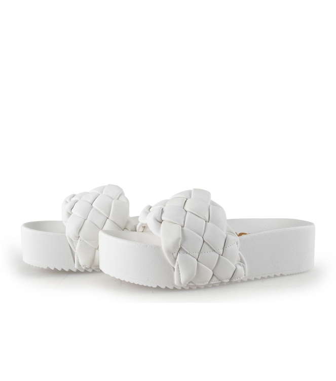 Colors of California Muiltjes