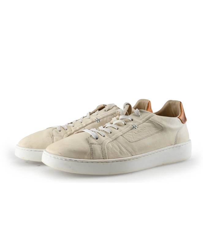 Greve Sneakers