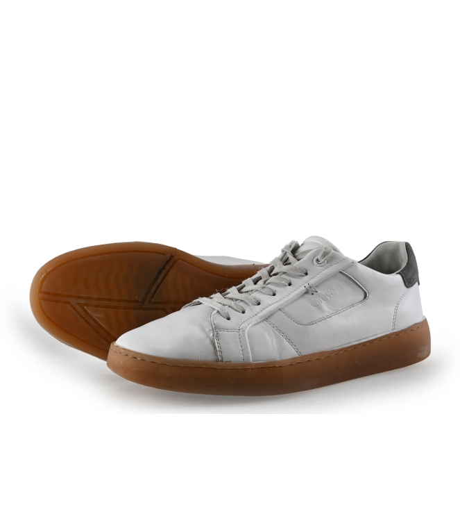 Greve Sneakers
