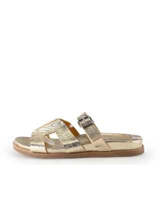 Laurent David Slippers Goud 341414
 Maat 39
 