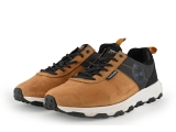 Timberland Sneakers