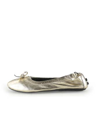 Notre-V Ballerina's Zilver 343061
 Maat 40
 