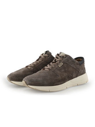 Greve Sneakers Bruin 344291
 Maat 40
 