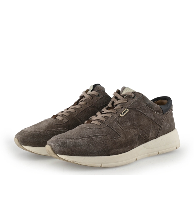 Greve Sneakers