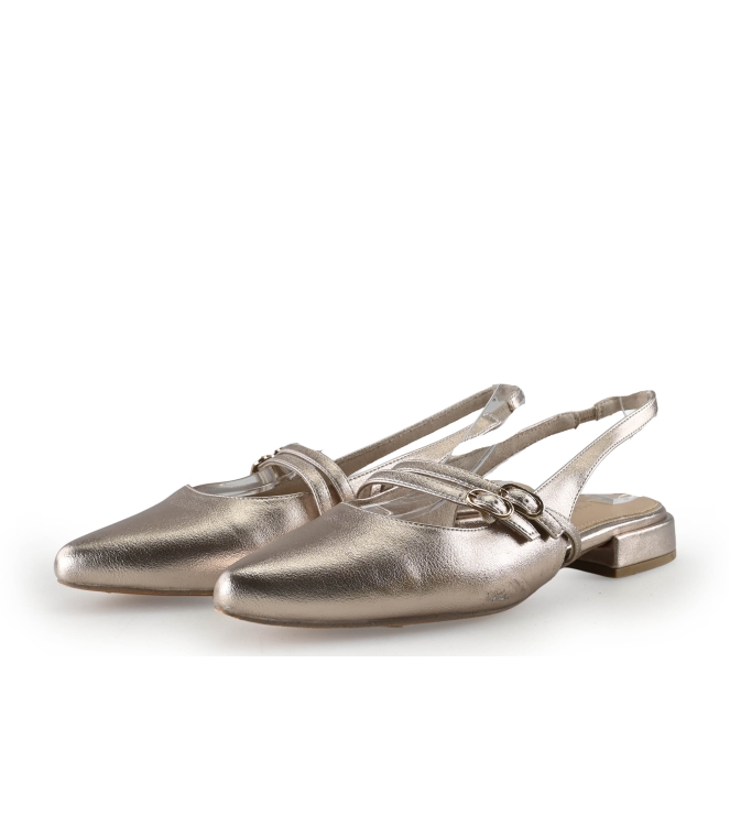 Marco Tozzi Muiltjes