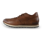 Greve Sneakers
