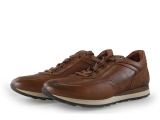 Greve Sneakers
