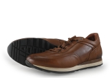 Greve Sneakers