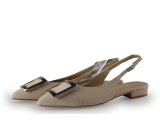 Linea Zeta Ballerina's