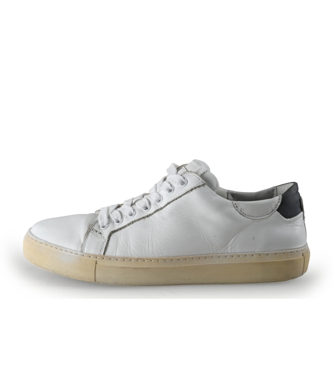 Greve Sneakers