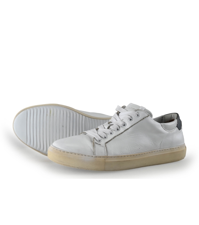 Greve Sneakers