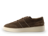 Greve Sneakers