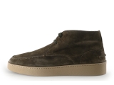Greve Sneakers
