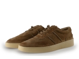 Greve Sneakers