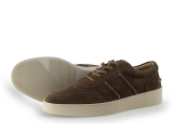 Greve Sneakers