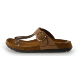 Rohde Slippers