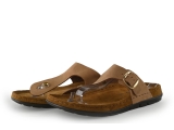 Rohde Slippers