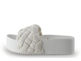 Colors of California Muiltjes