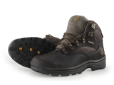 Timberland Wandelschoenen
