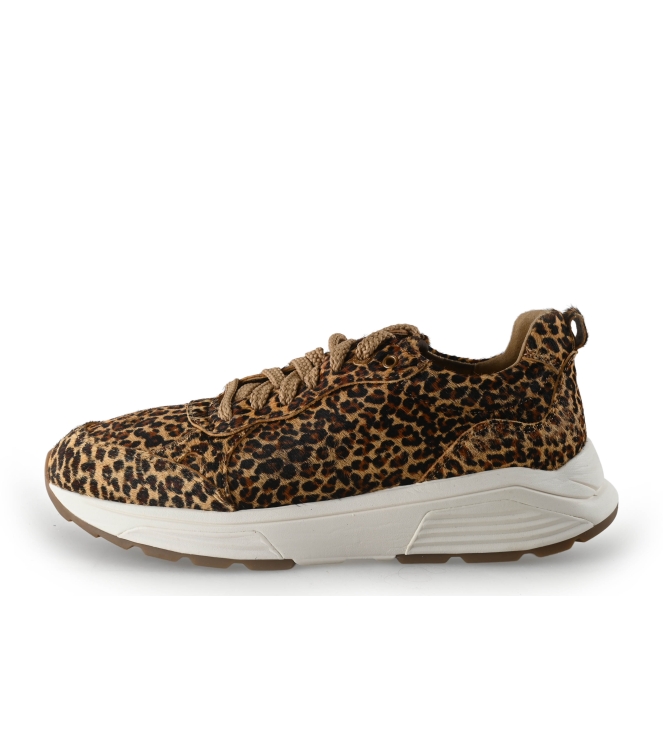 Xsensible Sneakers