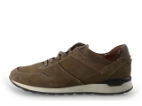 Greve Sneakers
