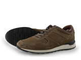 Greve Sneakers