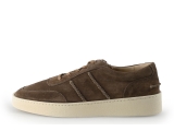 Greve Sneakers
