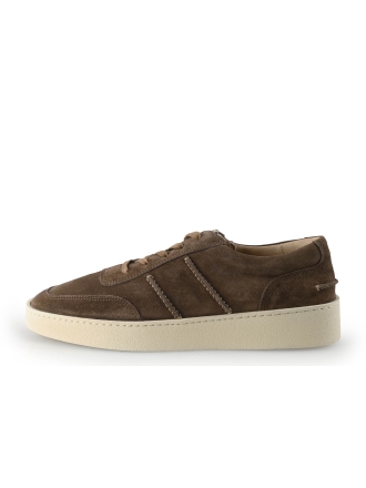 Greve Sneakers Bruin 352110
 Maat 41
 