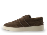 Greve Sneakers