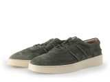 Greve Sneakers