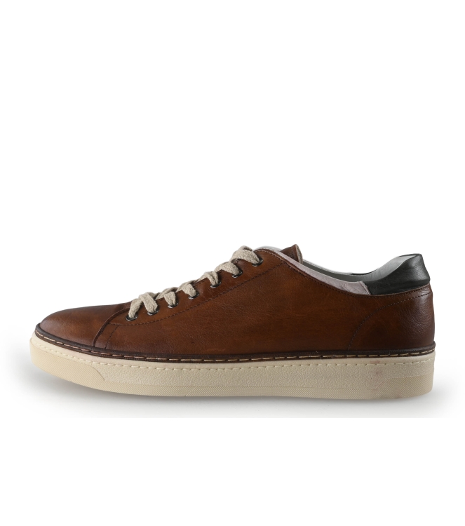 Exton Sneakers