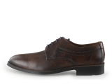 Lloyd Veterschoenen