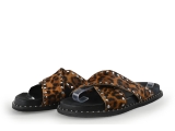 Sacha Slippers
