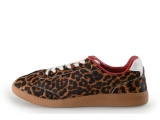Sacha Sneakers