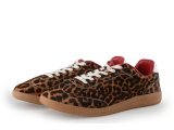 Sacha Sneakers