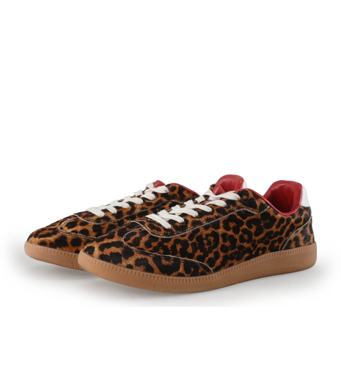 Sacha Sneakers