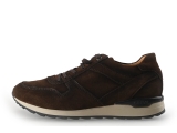 Greve Sneakers