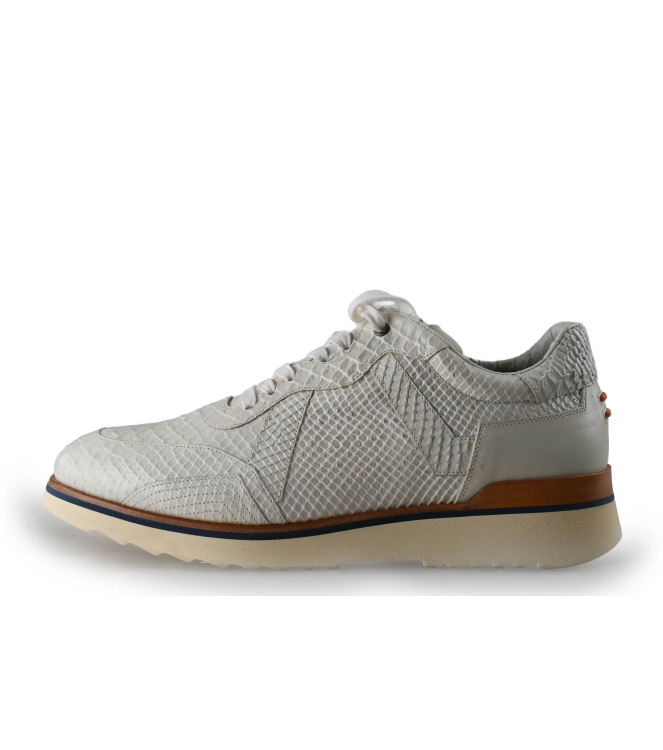 Greve Sneakers