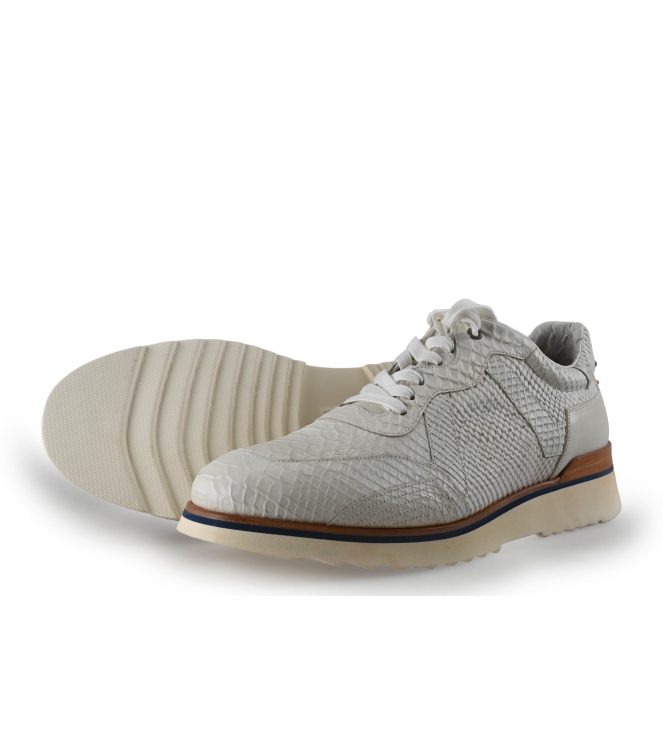 Greve Sneakers