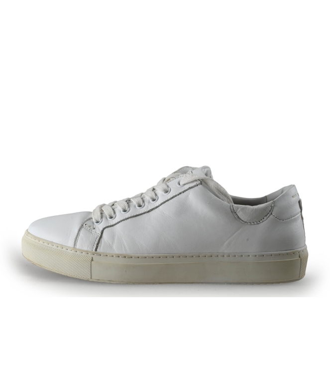Greve Sneakers