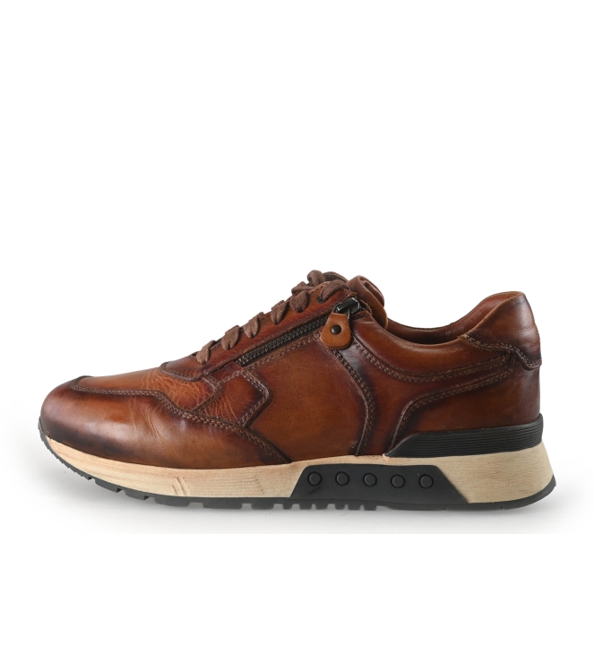 Greve Sneakers