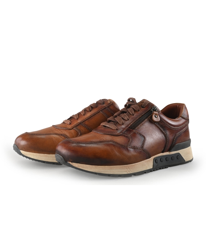 Greve Sneakers